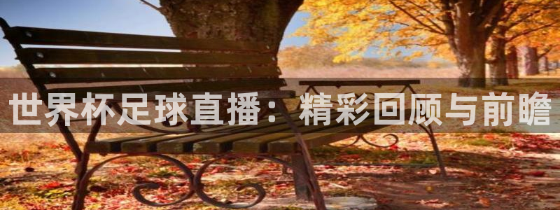 jrs蜘蛛直播nba免费：世界杯足球直播：精彩回顾与前瞻