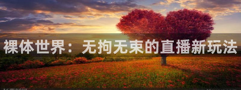 蜘蛛直播nba免费观看：裸体世界：无拘无束的直播新玩法