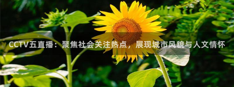 nba直播免费观看直播在线蜘蛛直播：CCTV五直播：聚焦社会关注热点，展现城市风貌与人文情怀