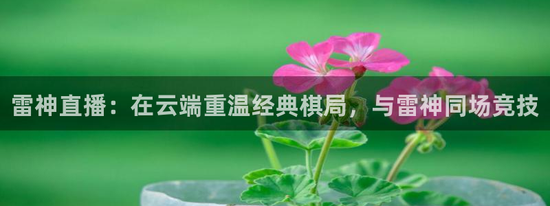 蜘蛛直播体育nba：雷神直播：在云端重温经典棋局，与雷神同场竞技
