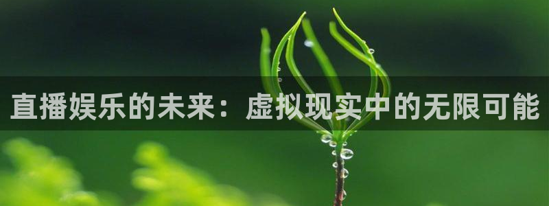 蜘蛛体育：直播娱乐的未来：虚拟现实中的无限可能