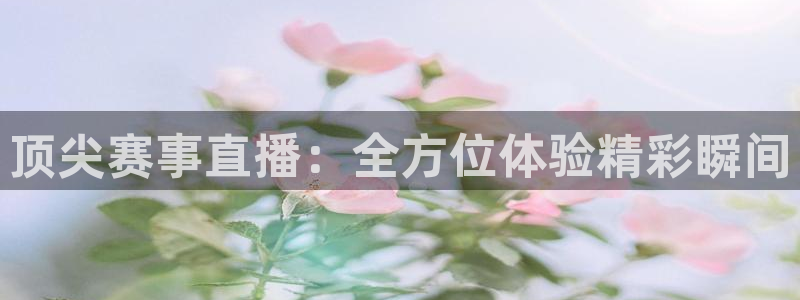 蜘蛛nba免费直播在线观看高清：顶尖赛事直播：全方位体验精彩瞬间