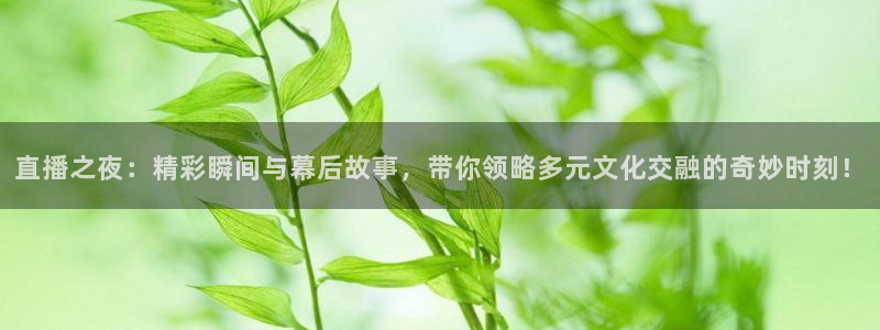 nba蜘蛛直播免费直播在线直播：直播之夜：精彩瞬间与幕后故事，带你领略多元文化交融的奇妙时刻！
