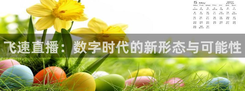 蜘蛛直播体育足球