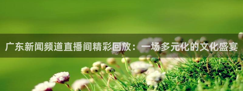 蜘蛛体育小狐狸
