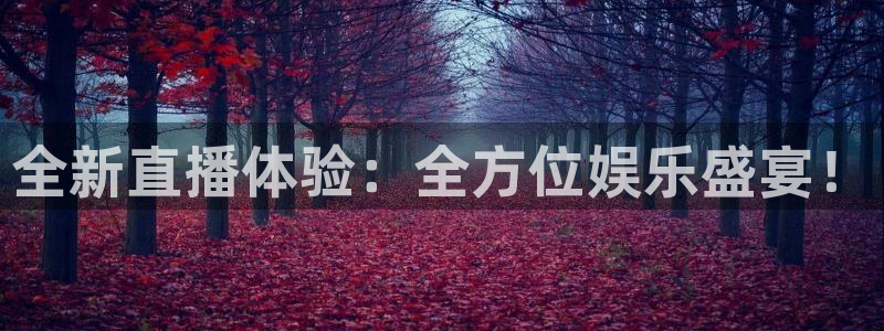 蜘蛛直播体育免费直播
