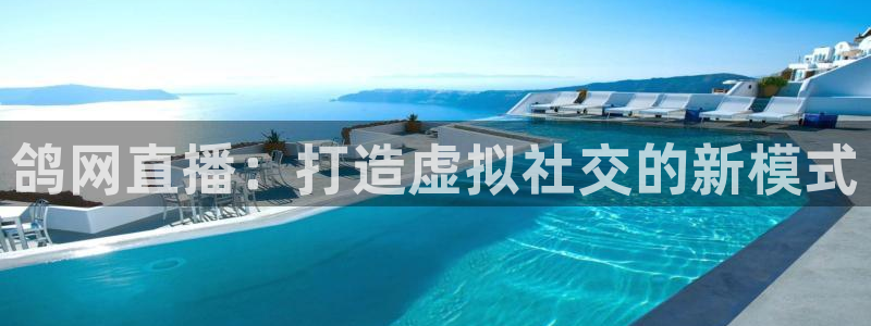 蜘蛛直播球地带：鸽网直播：打造虚拟社交的新模式